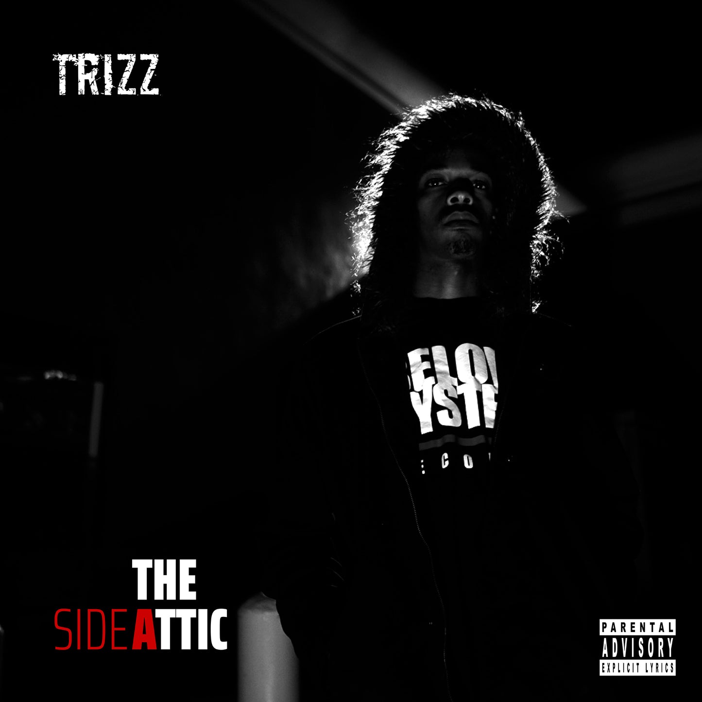 Trizz - The Attic (CD)