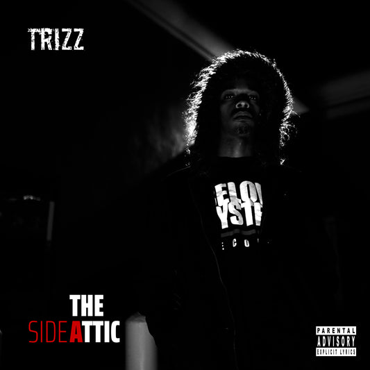 Trizz - The Attic (CD)